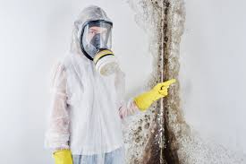 Why You Should Choose Our Mold Remediation Services in Mount Penn, PA